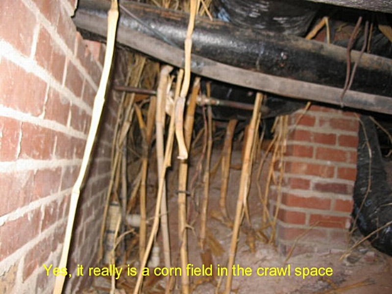 Home inspection photo