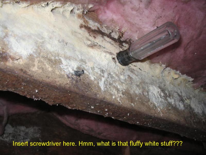 Home inspection photo